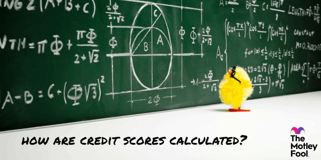 How are credit scores calculated?